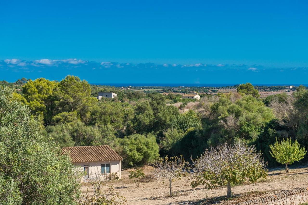 Finca Son Colom Manacor Kültér fotó